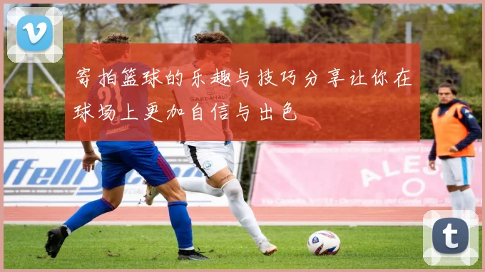 寄拍篮球的乐趣与技巧分享让你在球场上更加自信与出色