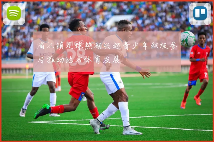 浦江镇足球热潮兴起青少年积极参与推动地方体育发展