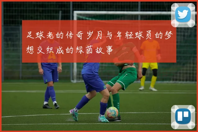 足球老的传奇岁月与年轻球员的梦想交织成的绿茵故事
