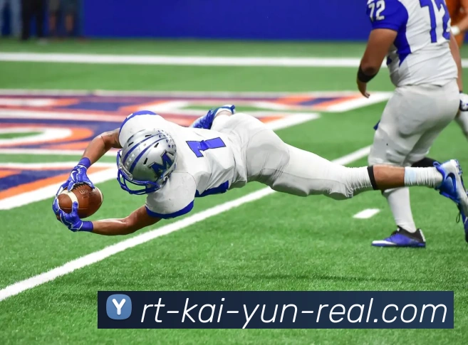 开云官网发展历程